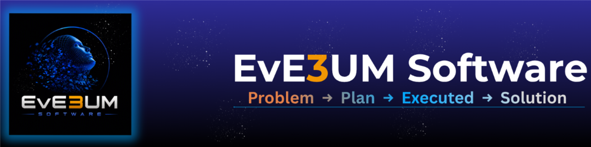 EvE3UM Software — Problem → Plan → Executed → Solution